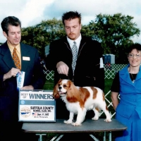 Champion Rive Oak Sundance Kid